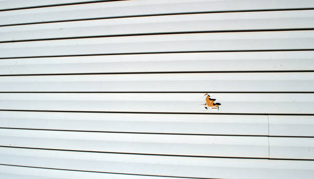 Best Stone Veneer Siding  in Mead, WA